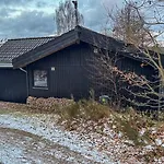 Forest Overlooking Bryrup Langso Silkeborg