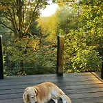 Forest Overlooking Bryrup Langso * Silkeborg