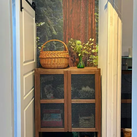 Forest Overlooking Bryrup Langso Hébergement de vacances Silkeborg