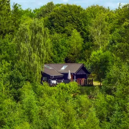 Forest Overlooking Bryrup Langso Holiday home Silkeborg