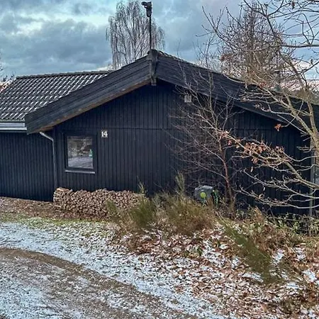 Forest Overlooking Bryrup Langso Silkeborg