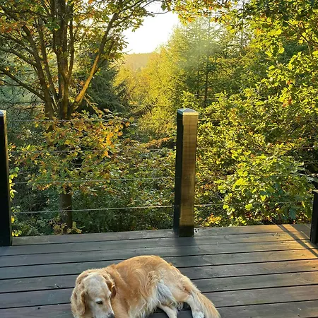Forest Overlooking Bryrup Langso * Silkeborg