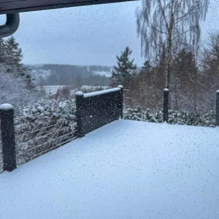 Forest Overlooking Bryrup Langso Holiday home Silkeborg
