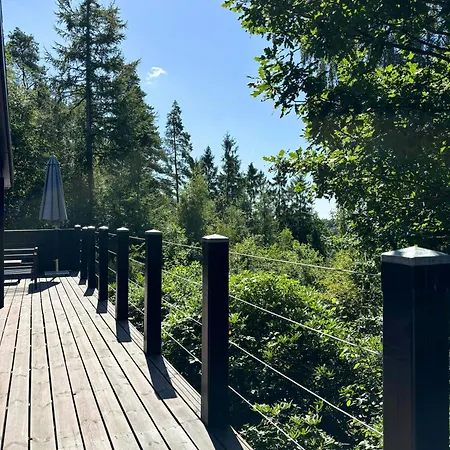 Forest Overlooking Bryrup Langso Holiday home Silkeborg