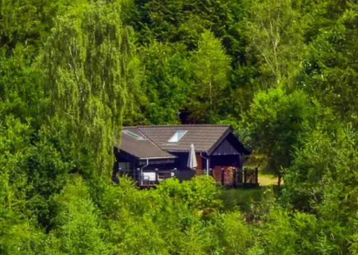 Forest Overlooking Bryrup Langso Сasa de vacaciones Silkeborg