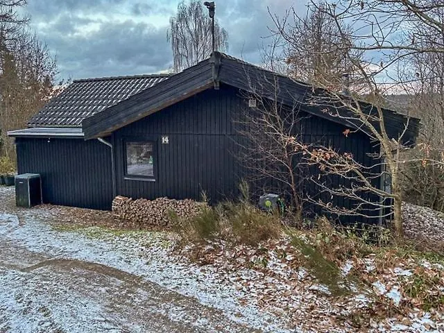Forest Overlooking Bryrup Langso Silkeborg
