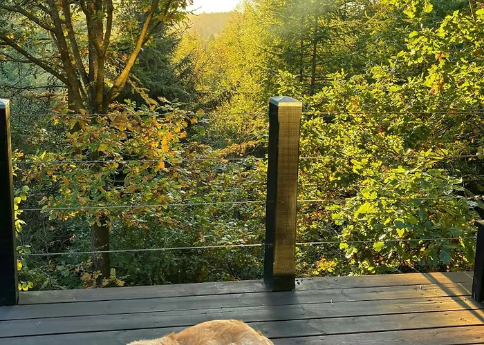 Forest Overlooking Bryrup Langso * Silkeborg