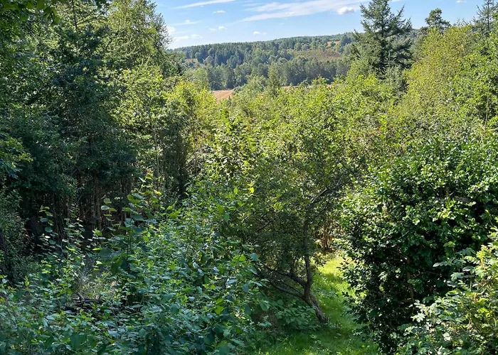 Forest Overlooking Bryrup Langso Сasa de vacaciones *